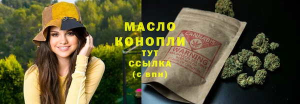 индика Верея