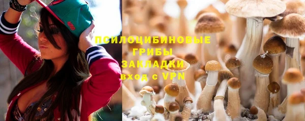 дмт Верхний Тагил