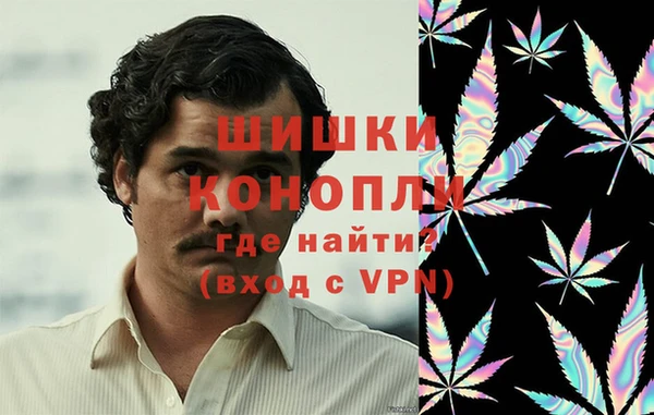индика Верея