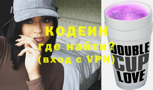 МДПВ Бородино