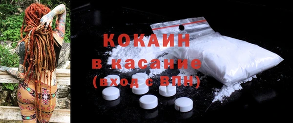 индика Верея